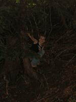 dscf0356.jpg