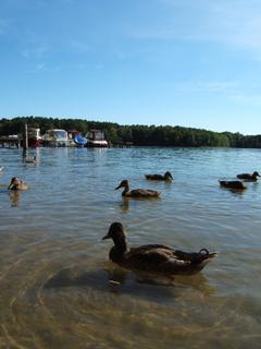 DSCF1378.JPG