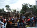 DSCF1522.JPG