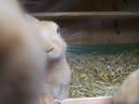 DSCF2686.JPG