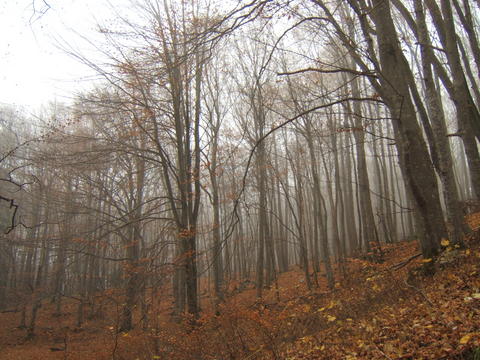 DSCF2990.JPG