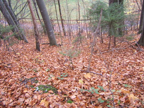 DSCF3010.JPG