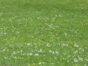DSCF3508.JPG