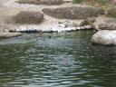 DSCF3405.JPG