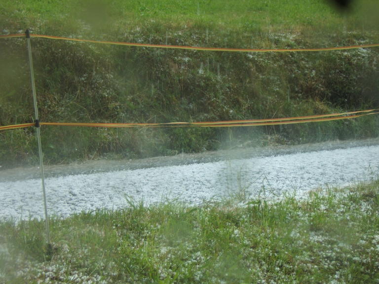 DSCF3668.JPG