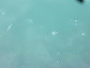DSCF4398.JPG