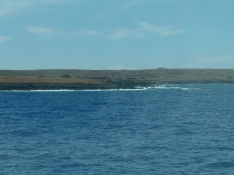 IMG_20160221_185152239.jpg