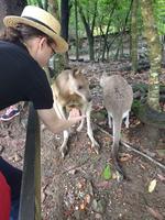 IMG_20160316_091331693.jpg