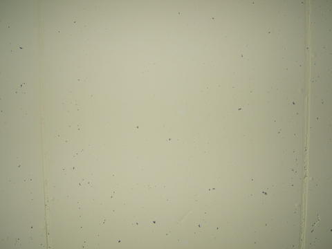 DSCF2858.JPG