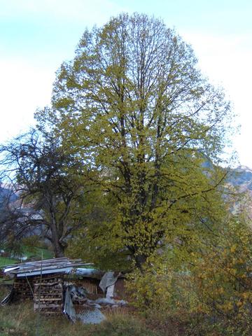 DSCF1682.JPG