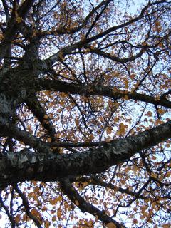 DSCF1688.JPG