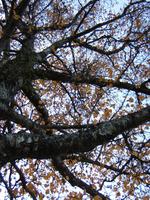 DSCF1688.JPG